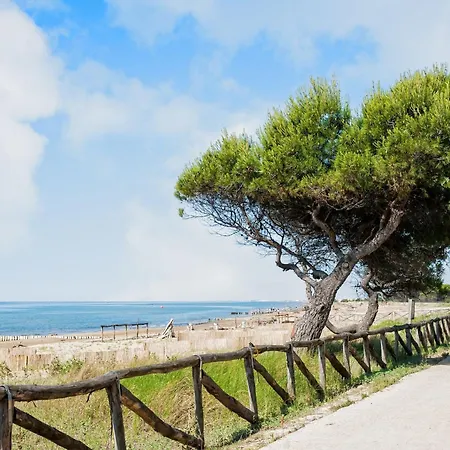 Apartment Great Flat With Two Terraces And Parking Bibione